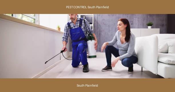 PEST CONTROL South Plainfield